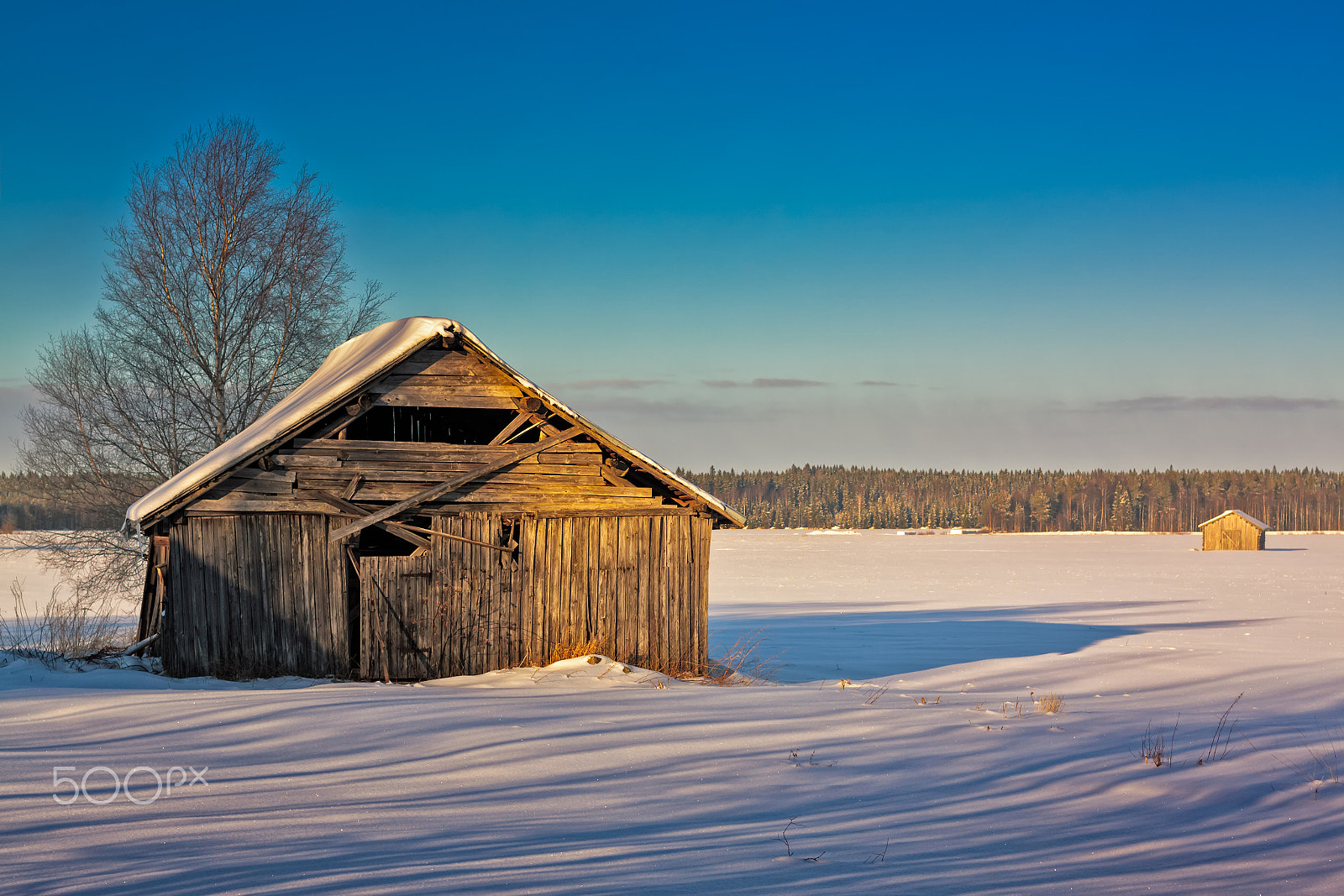 Canon EF 35-80mm f/4-5.6 sample photo. Long shadows on the snow photography