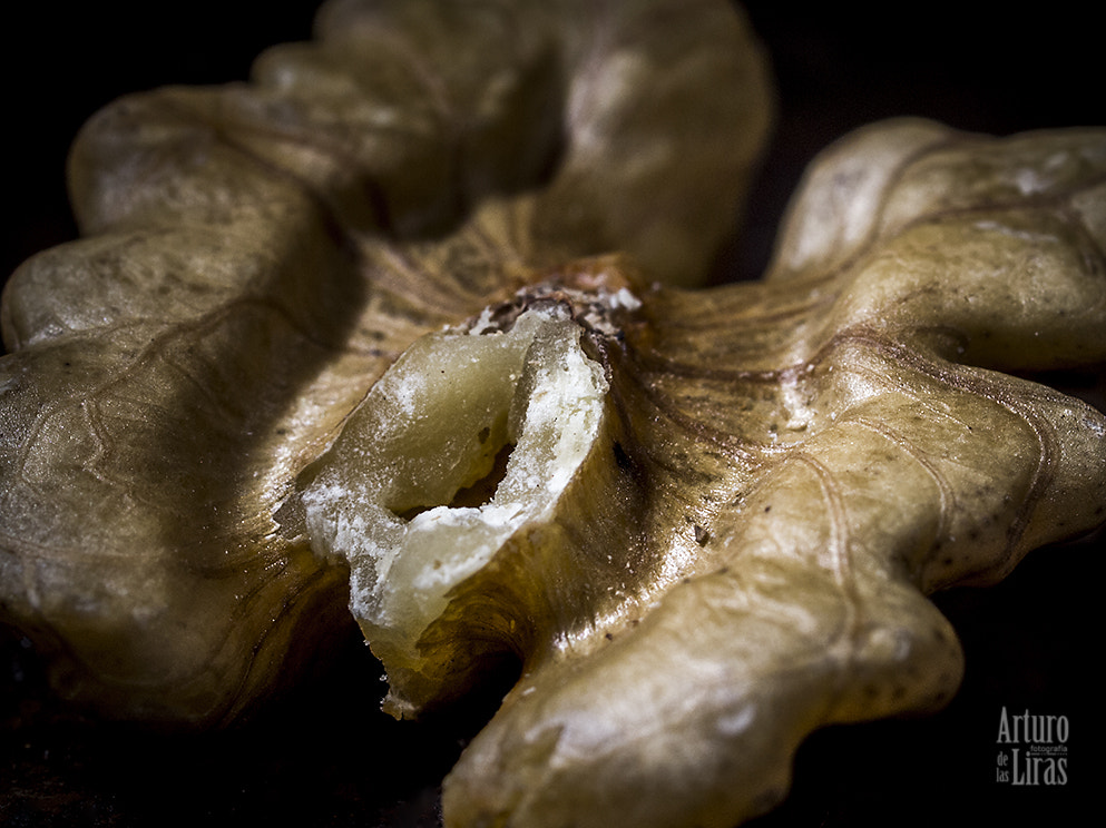 Olympus E-5 + OLYMPUS 50mm Lens sample photo. The eroticism of the walnut photography