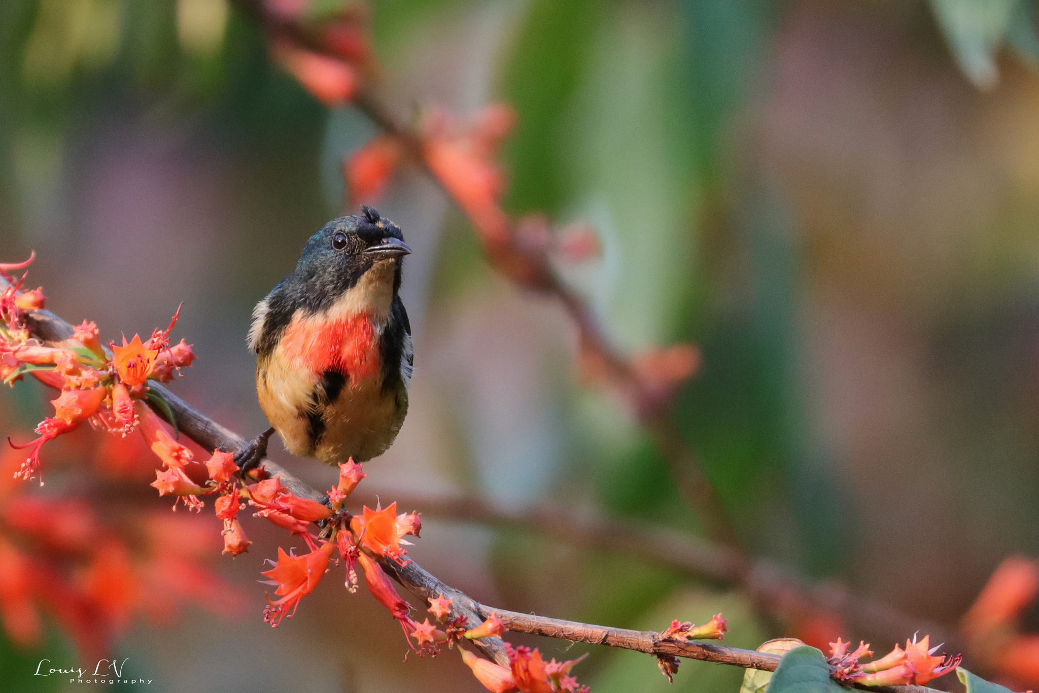 Canon EOS 5DS R sample photo