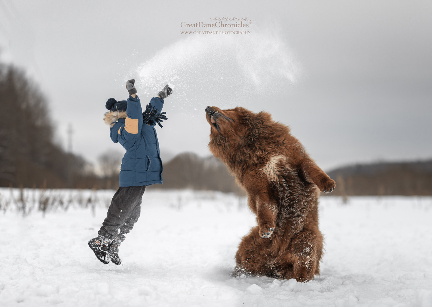 Canon EF 85mm F1.2L II USM sample photo. On the last day of winter photography
