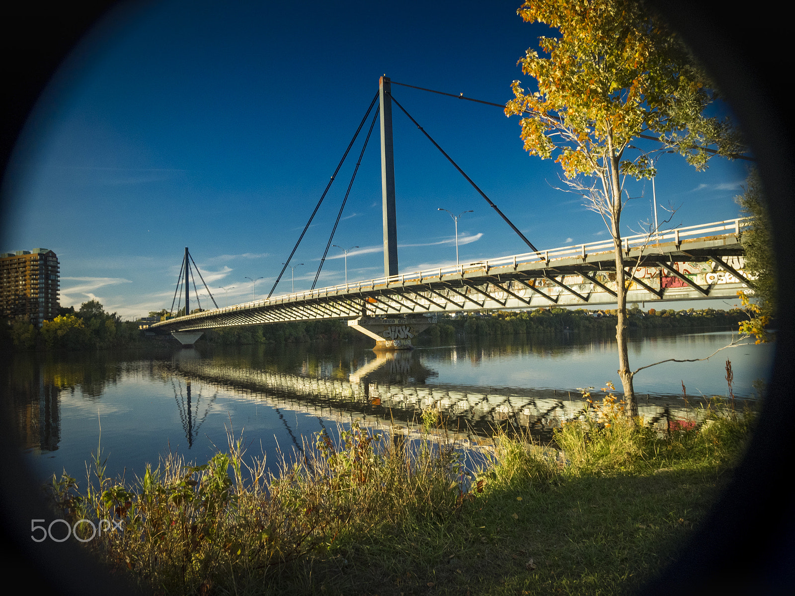 Olympus OM-D E-M1 sample photo. Pont papineau-leblanc montreal/laval photography