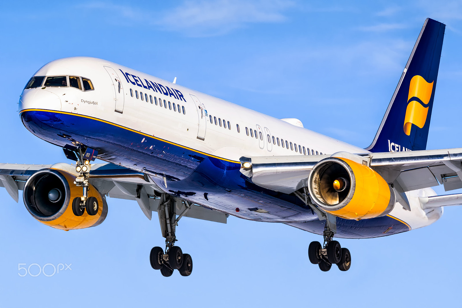 Nikon AF-S Nikkor 200-500mm F5.6E ED VR sample photo. Tf-iss photography