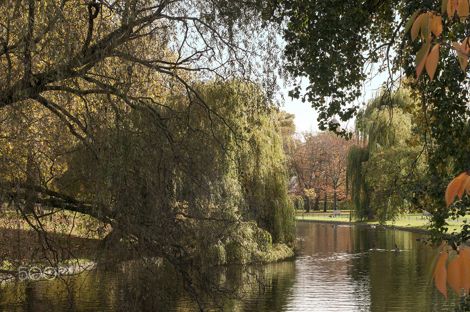 Nikon D300S sample photo. The regent's park photography