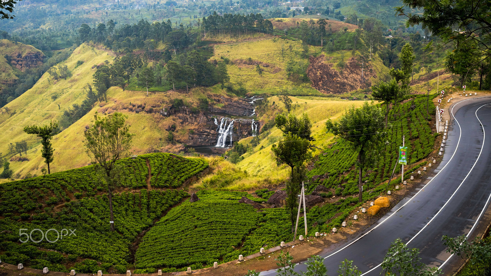 Nikon AF-S Nikkor 200-400mm F4G ED-IF VR sample photo. Tea garden in srilanka photography