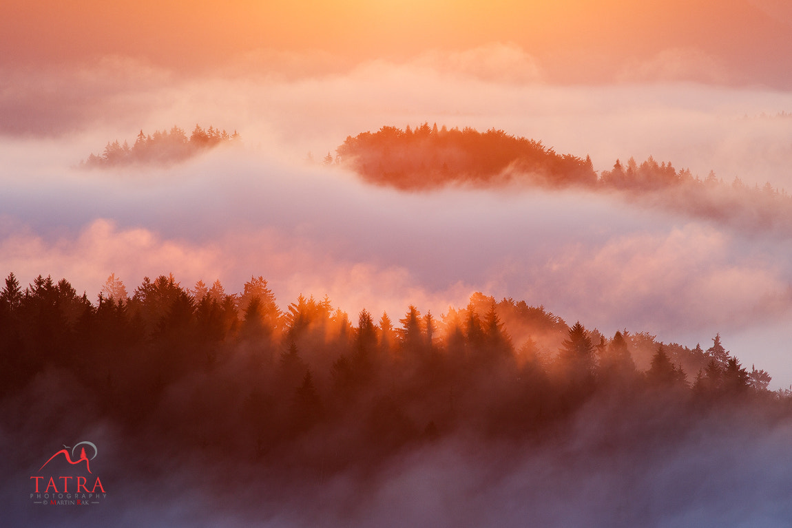 Canon EF 70-300mm F4-5.6L IS USM sample photo. Saxon germany martin rak photography