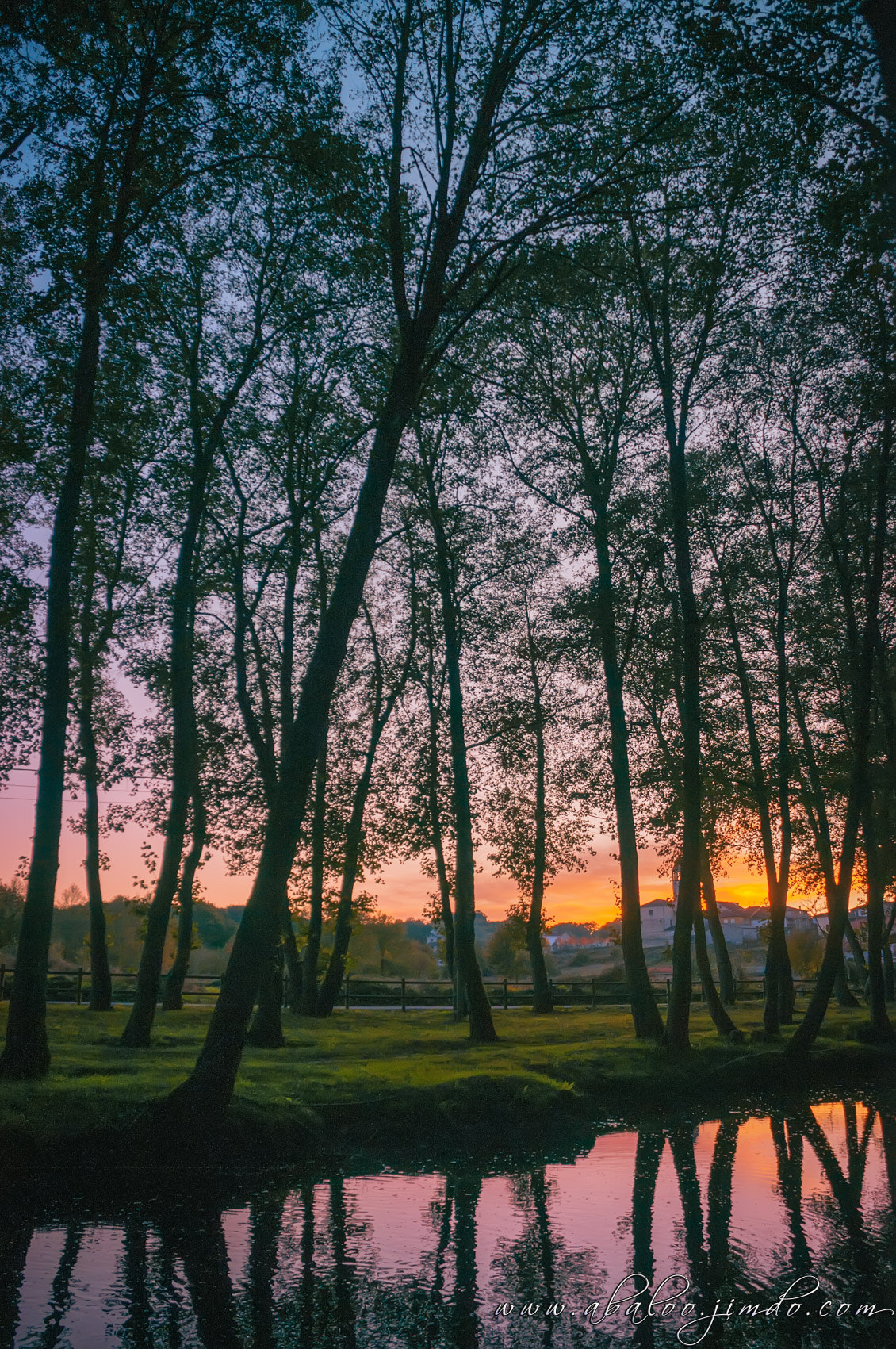 Nikon D300 sample photo. Dusk in allaríz photography
