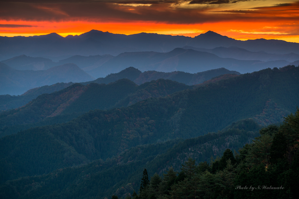 Nikon AF-S Nikkor 70-200mm F4G ED VR sample photo. Morning grow..... photography
