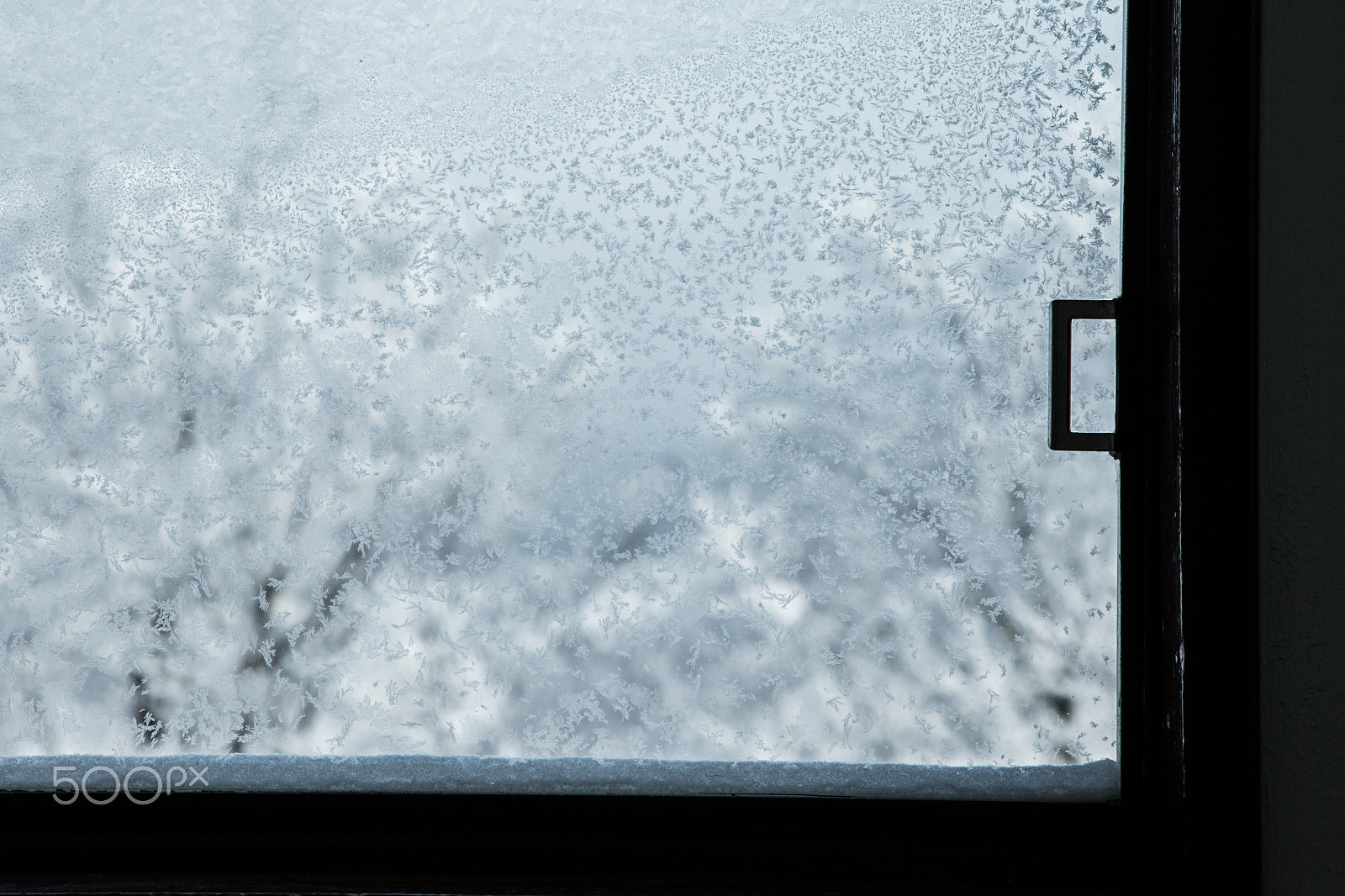 Canon EOS-1D X sample photo. Frozen window photography