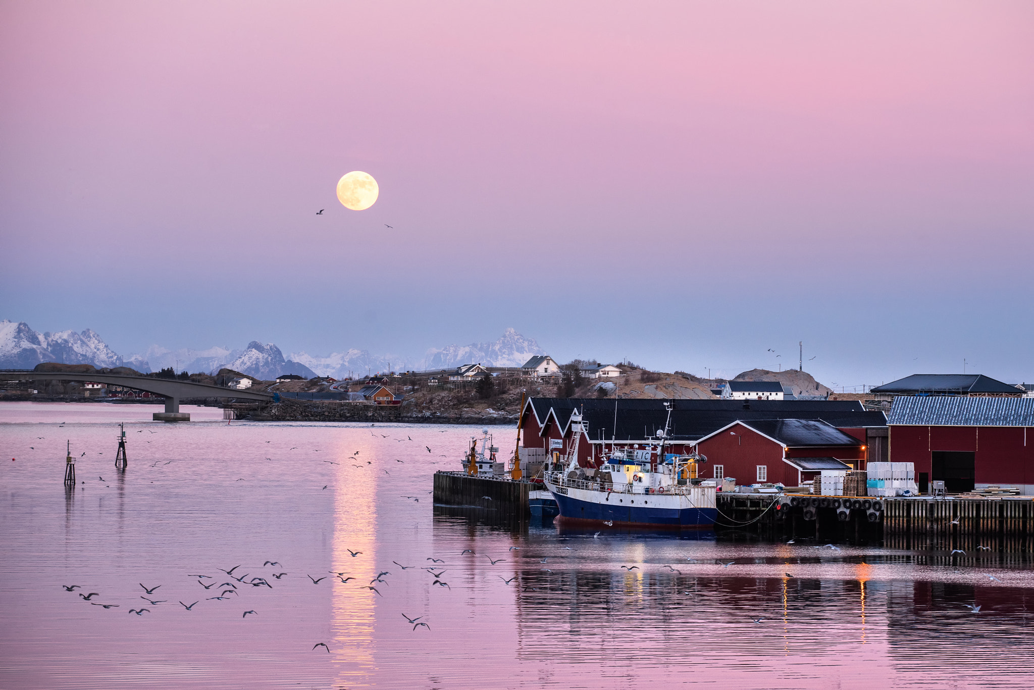 Nikon D810 + Nikon AF-S Nikkor 70-200mm F4G ED VR sample photo. Lofoten photography