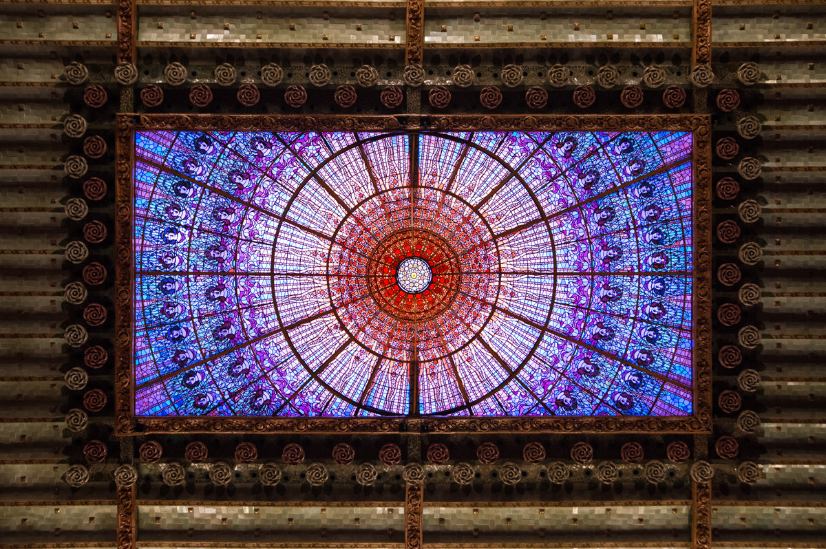 Nikon D810 sample photo. Palau de musica photography
