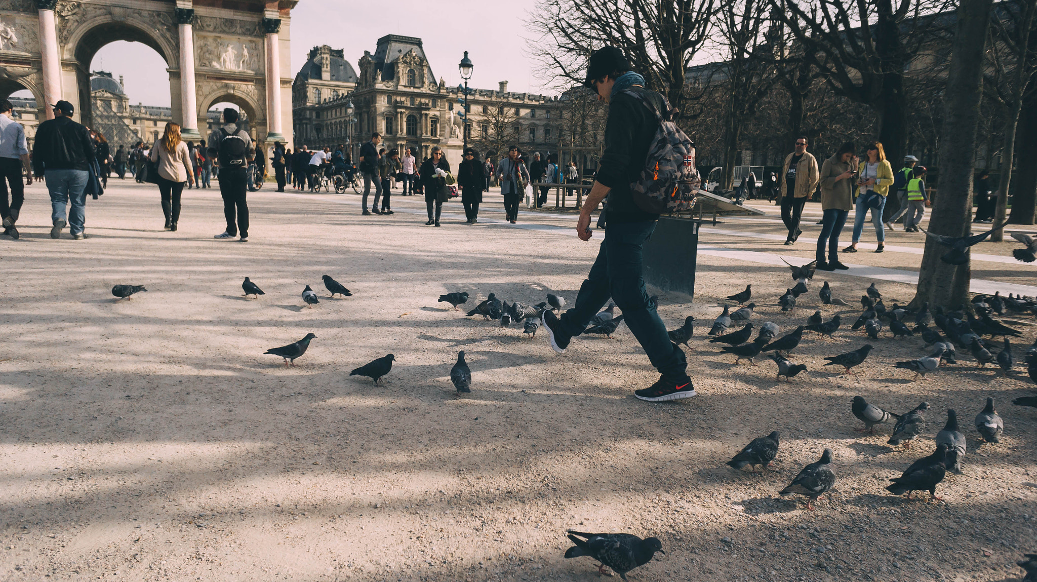 Sony Alpha NEX-5 + Sony E 16mm F2.8 sample photo. Parisian pigeons photography