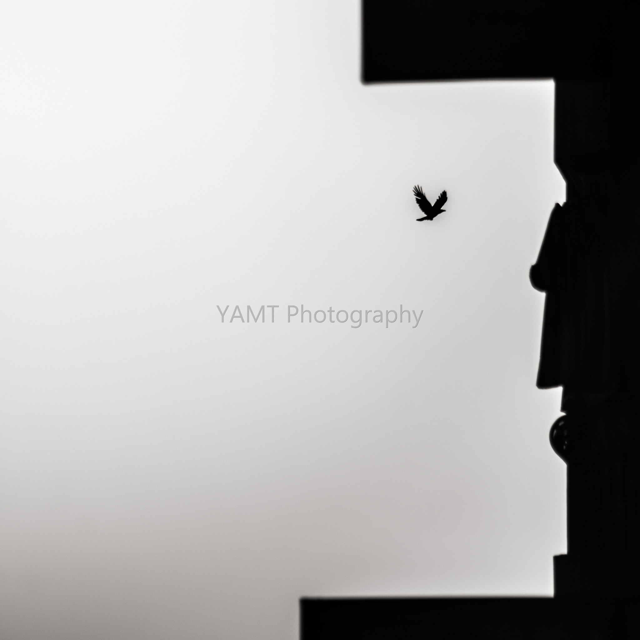 Canon EOS 70D + EF75-300mm f/4-5.6 sample photo. Mg photography