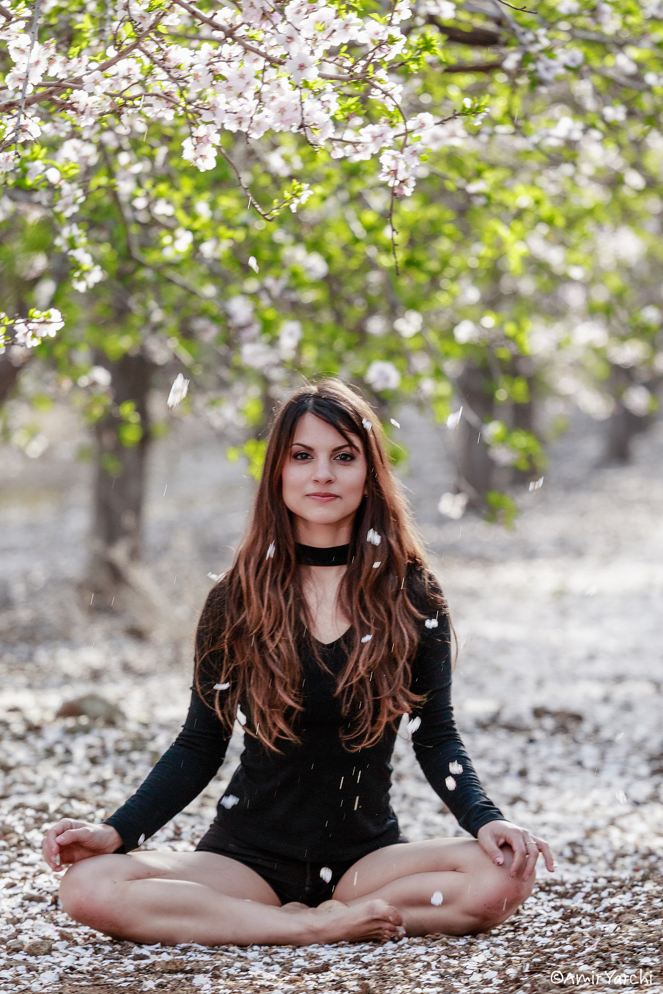 Canon EOS 70D + Canon EF 70-200mm F4L USM sample photo. Almonds blossom photography