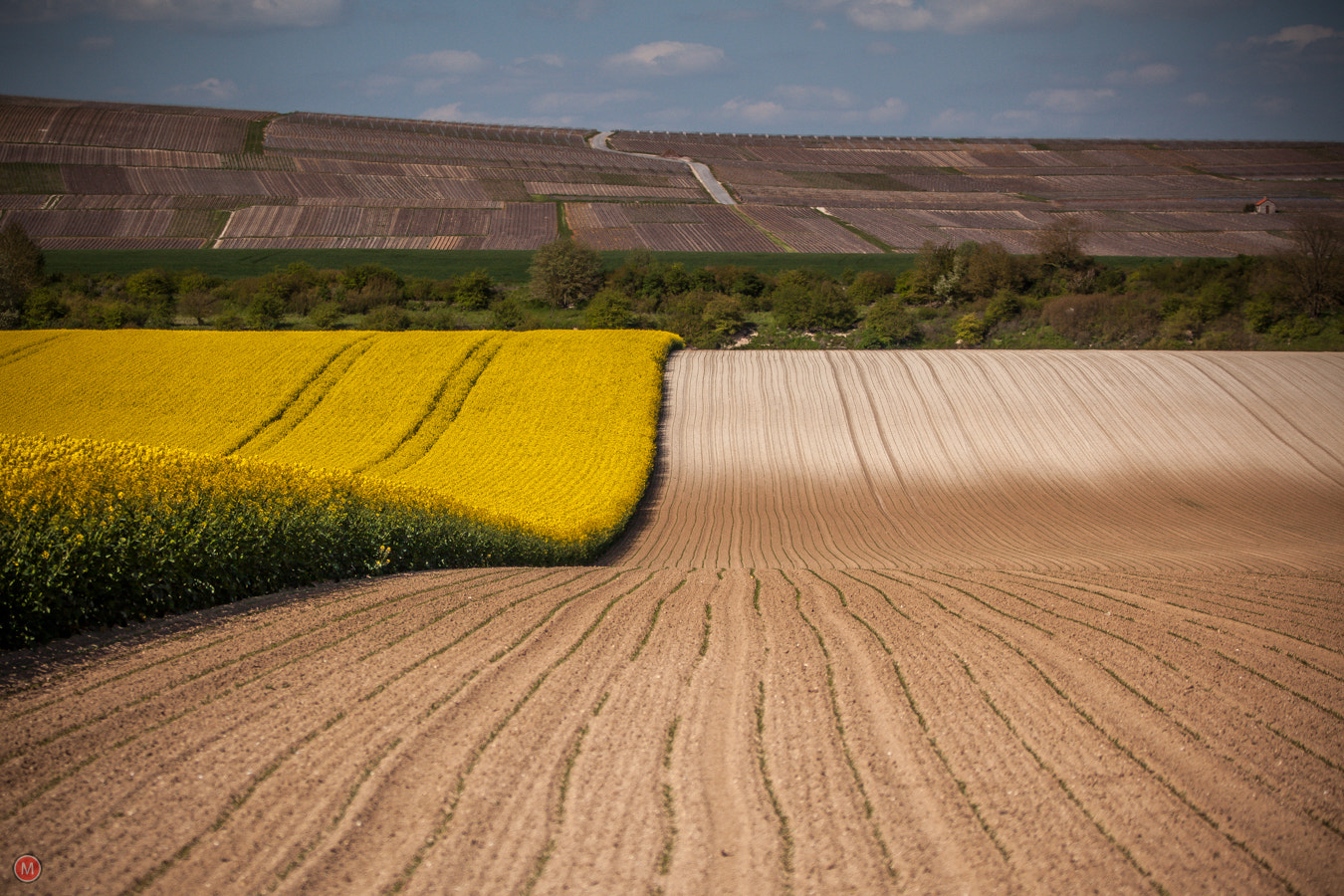 Canon EOS 5D Mark II sample photo. Vaudemange, route touristique du champagne, france photography