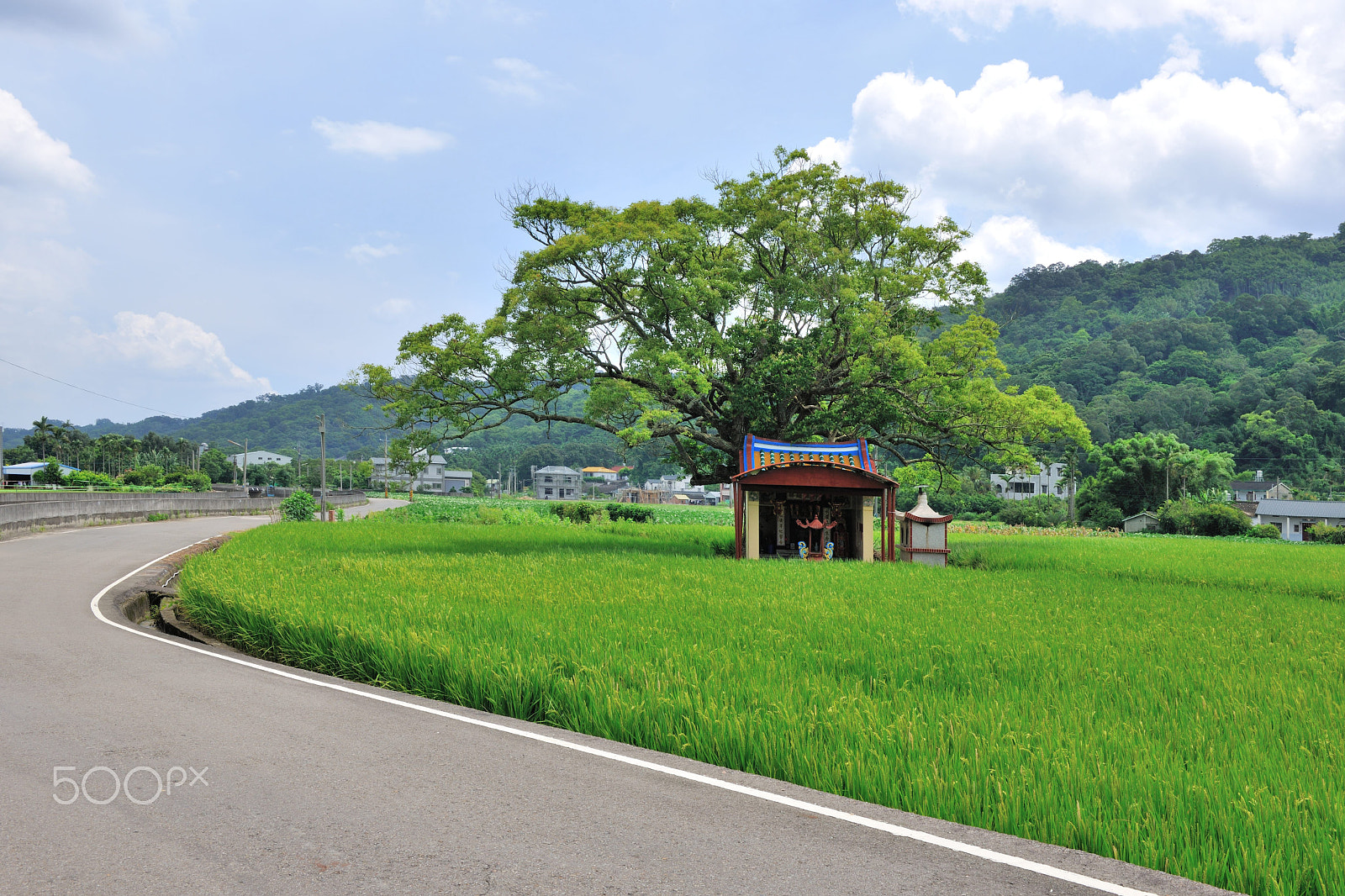 Nikon D3X sample photo. 期待豐收的農村景色 photography