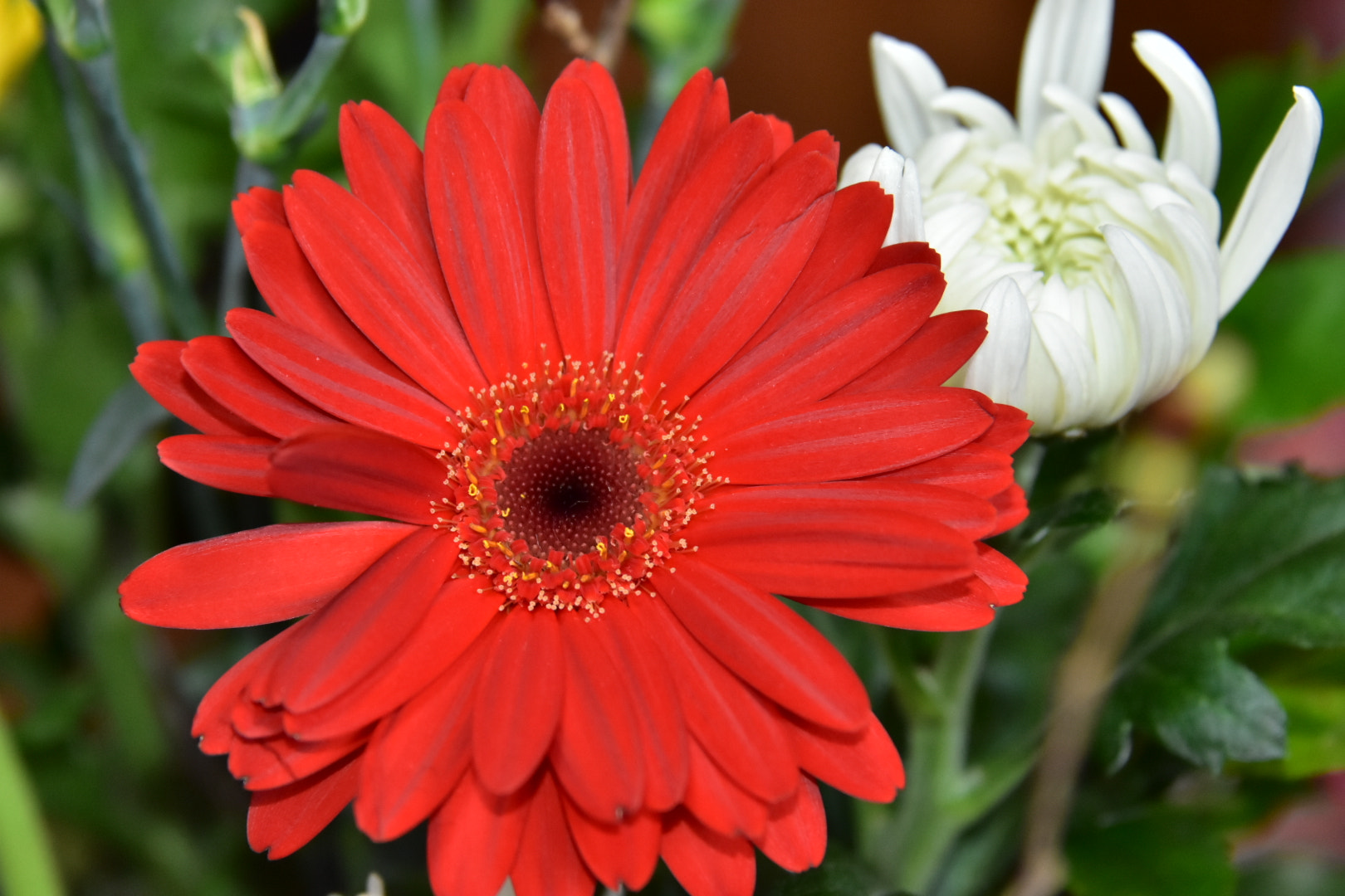 Nikon D7200 sample photo