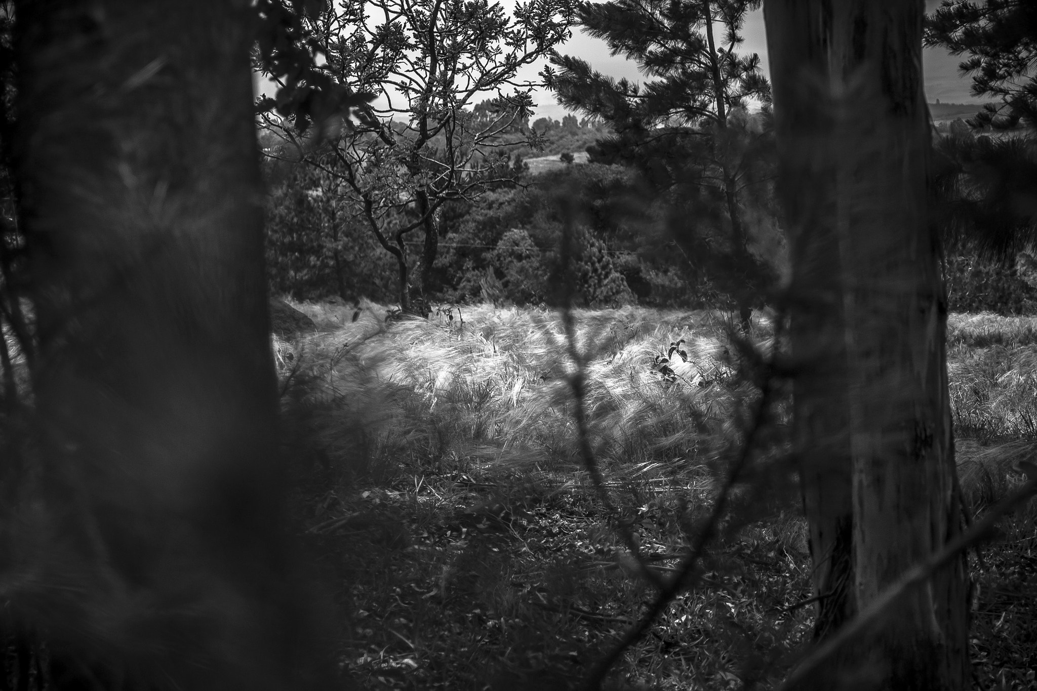 Canon EOS 1100D (EOS Rebel T3 / EOS Kiss X50) sample photo. Abstract photography