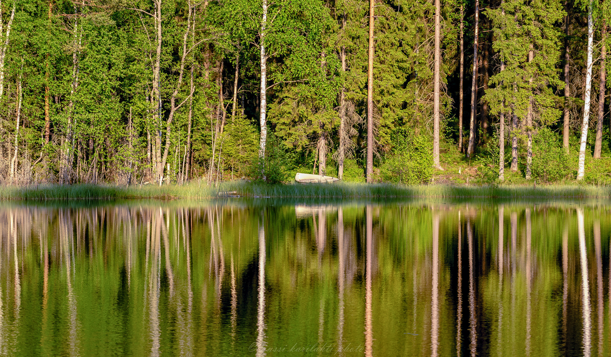 Sigma 105mm F2.8 EX DG OS HSM sample photo. Green reflection photography