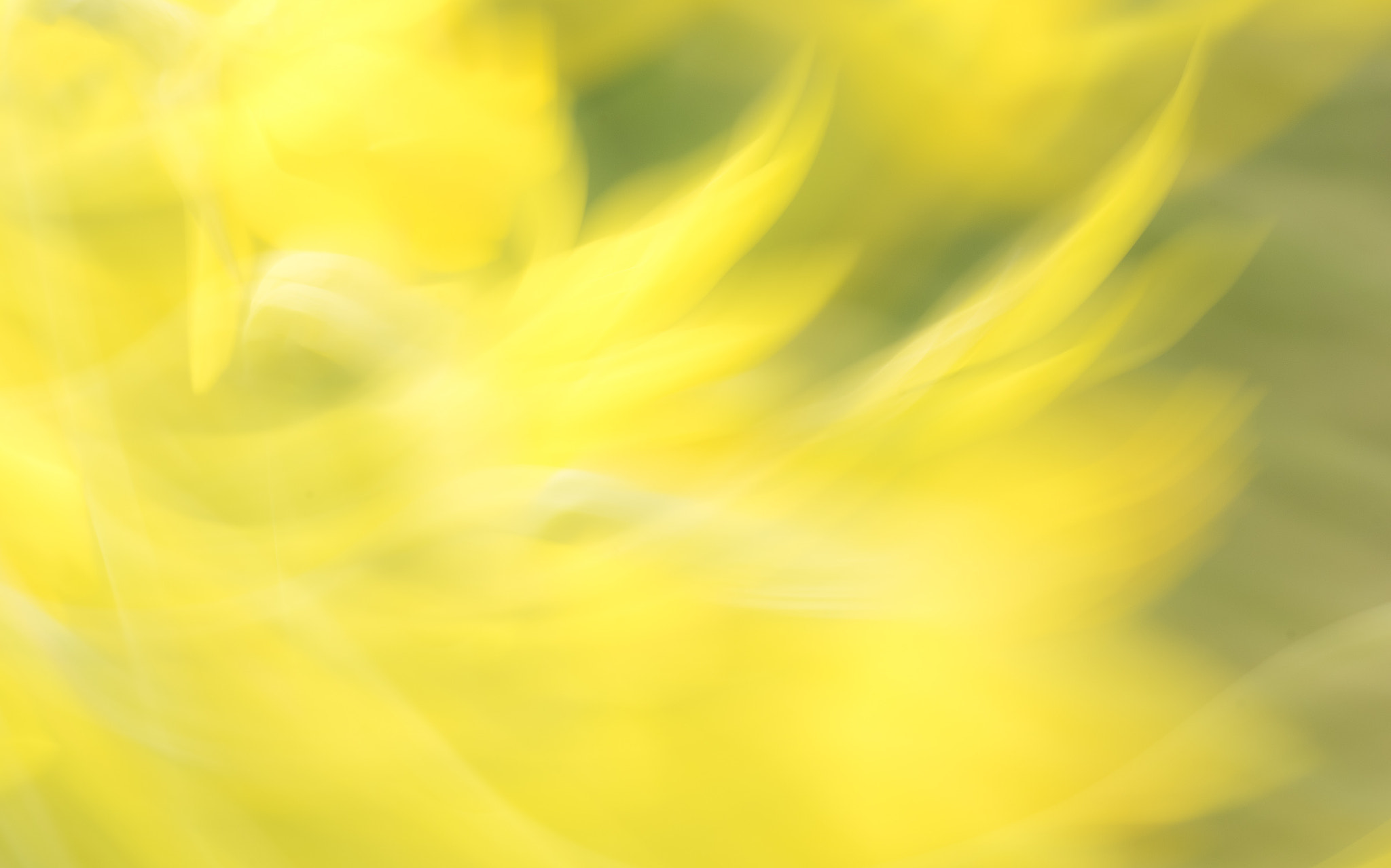 Sony a7R + Sony FE 90mm F2.8 Macro G OSS sample photo. Spring colours photography