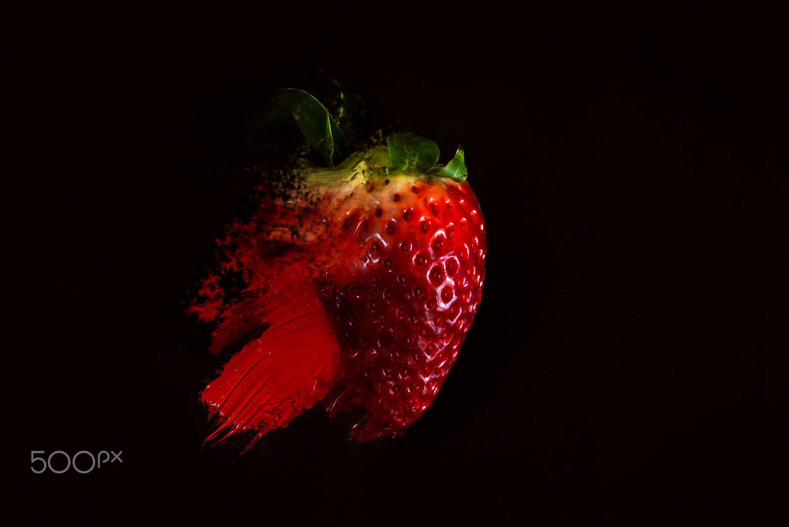 Nikon AF-S Micro-Nikkor 60mm F2.8G ED sample photo. Pigmento rosso fragola.. photography