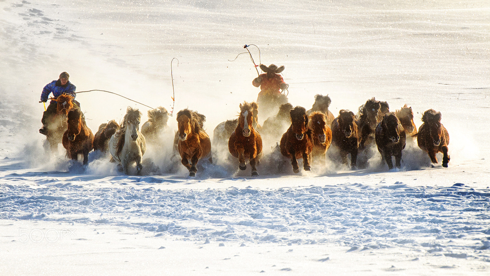 Nikon AF-S Nikkor 70-200mm F2.8G ED VR II sample photo. Herd photography