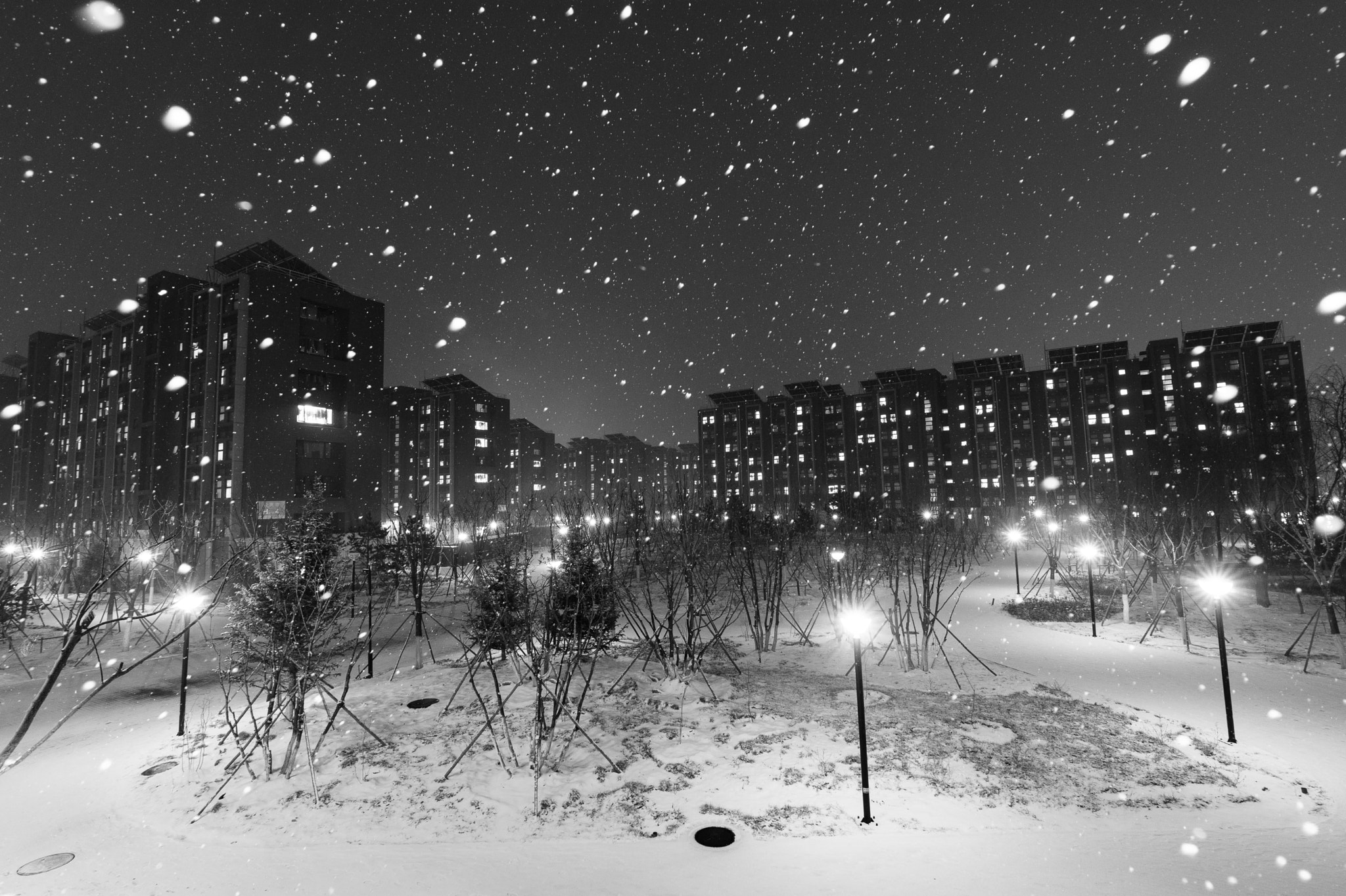 Nikon D7200 sample photo. Snow photography