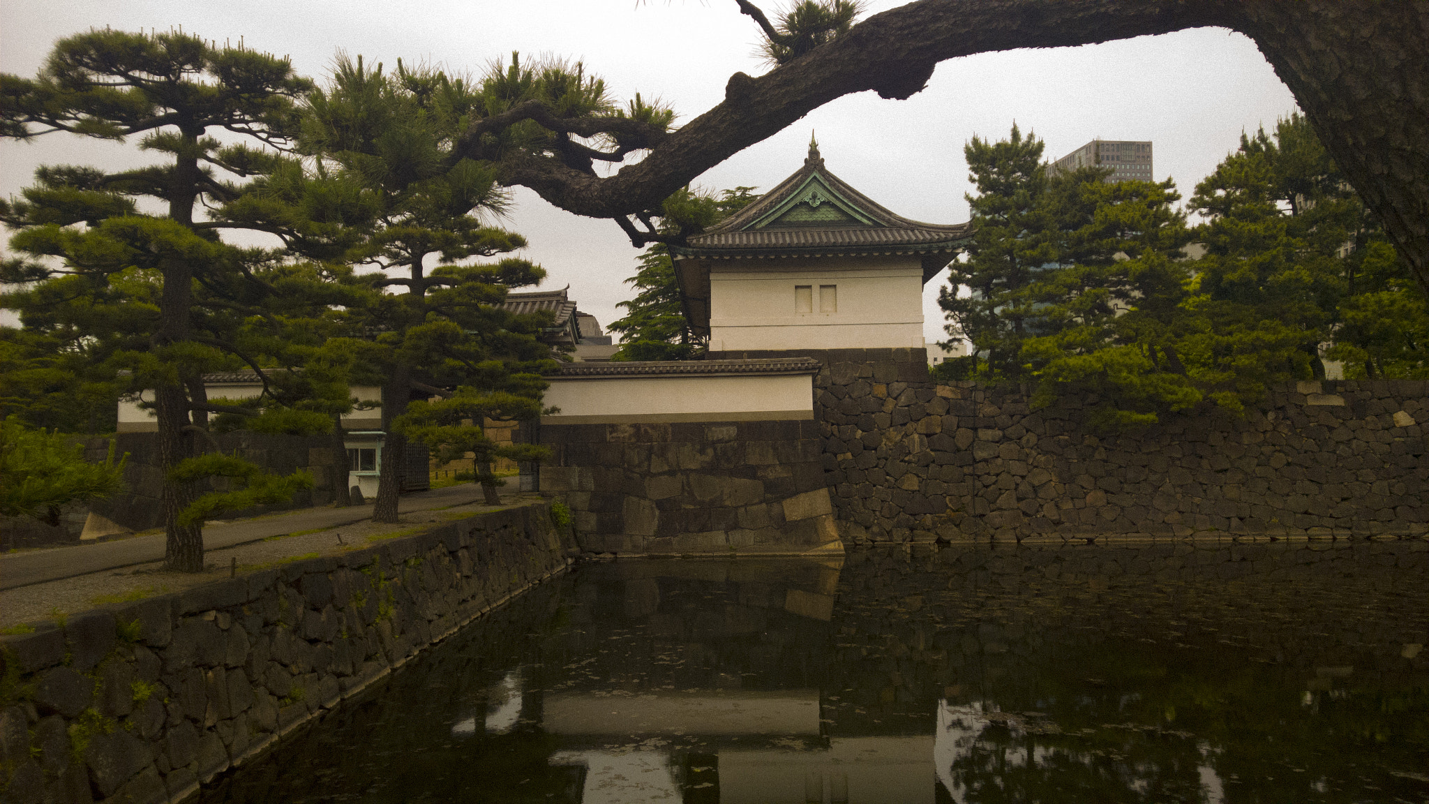 Nokia Lumia 1520 sample photo. Kokyo photography