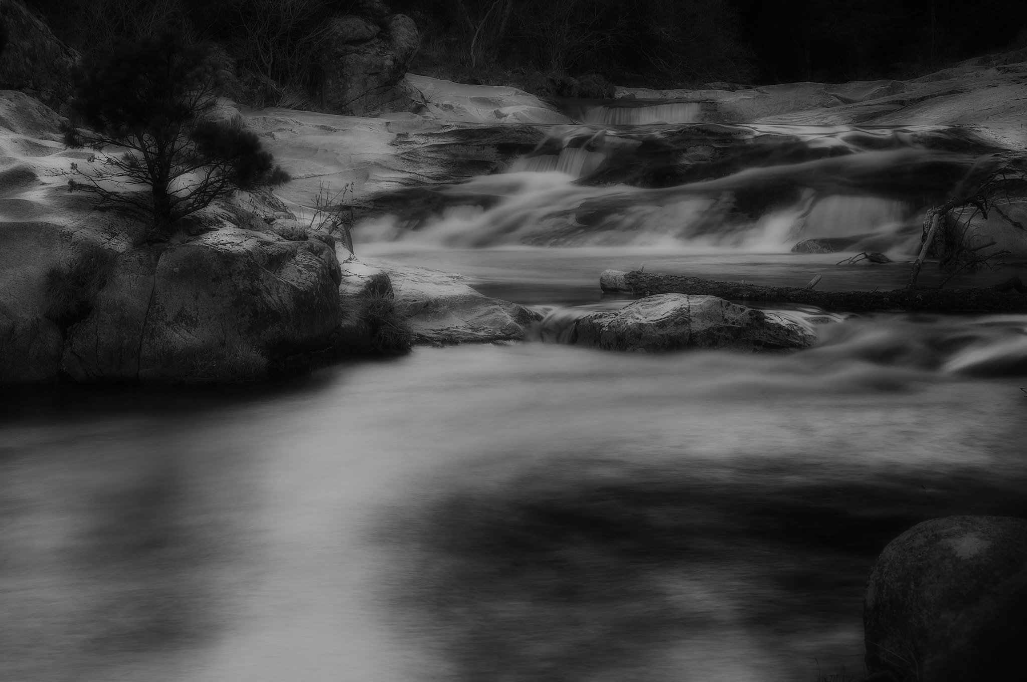 Sigma 17-50mm F2.8 EX DC OS HSM sample photo. 666pedrizz photography