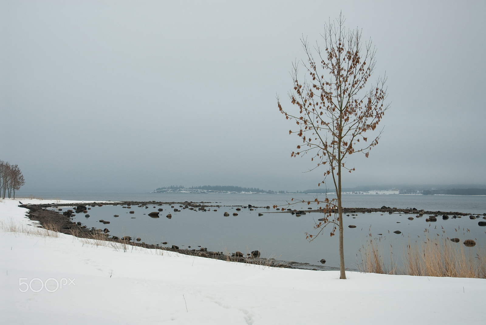 Nikon D200 sample photo. Seaside by borre photography