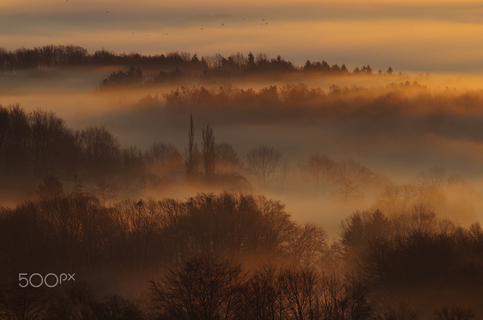 Tamron AF 70-300mm F4-5.6 LD Macro 1:2 sample photo. Slovenske gorice 1 photography