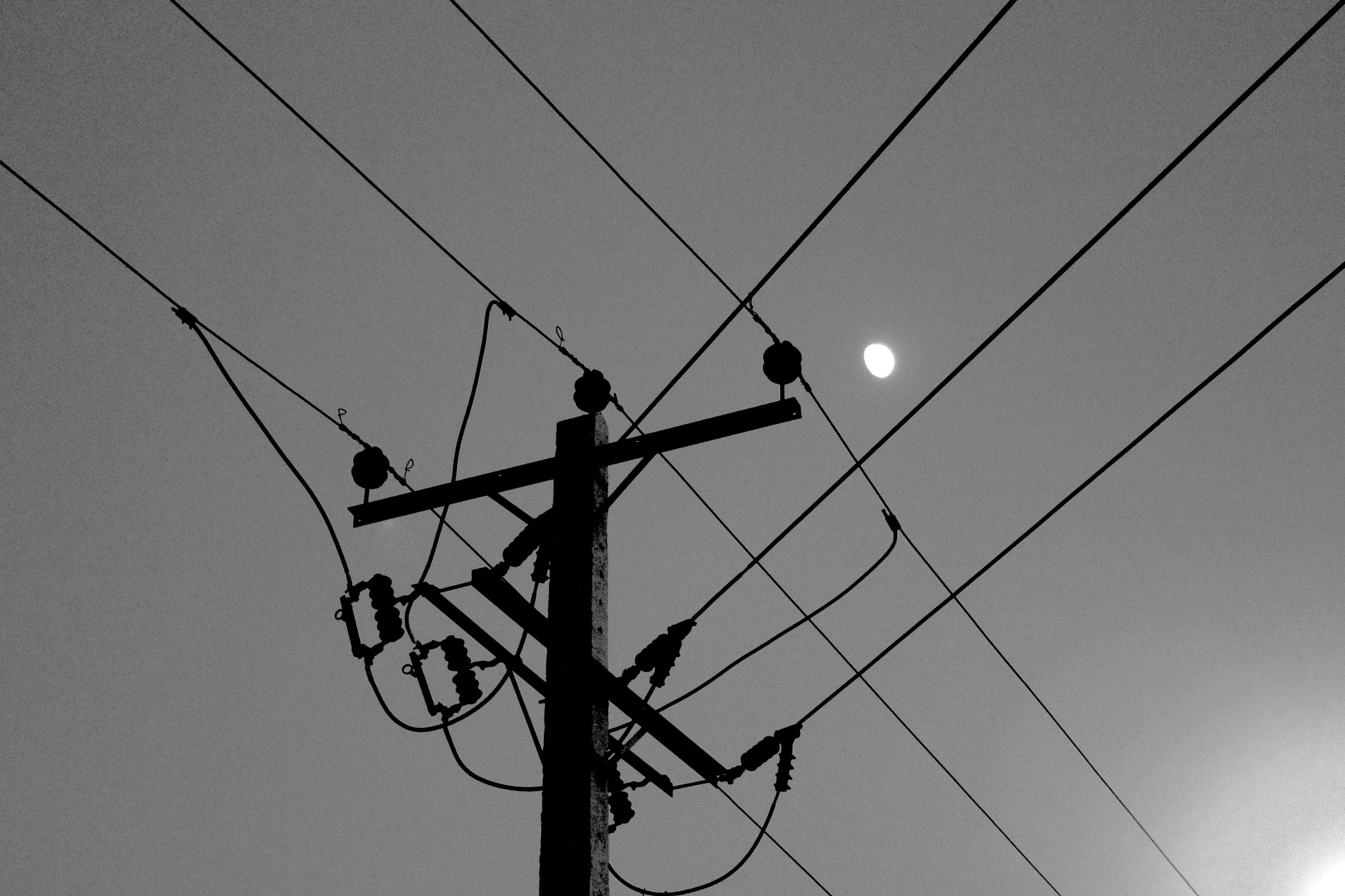 Canon EOS 550D (EOS Rebel T2i / EOS Kiss X4) sample photo. High key. photography