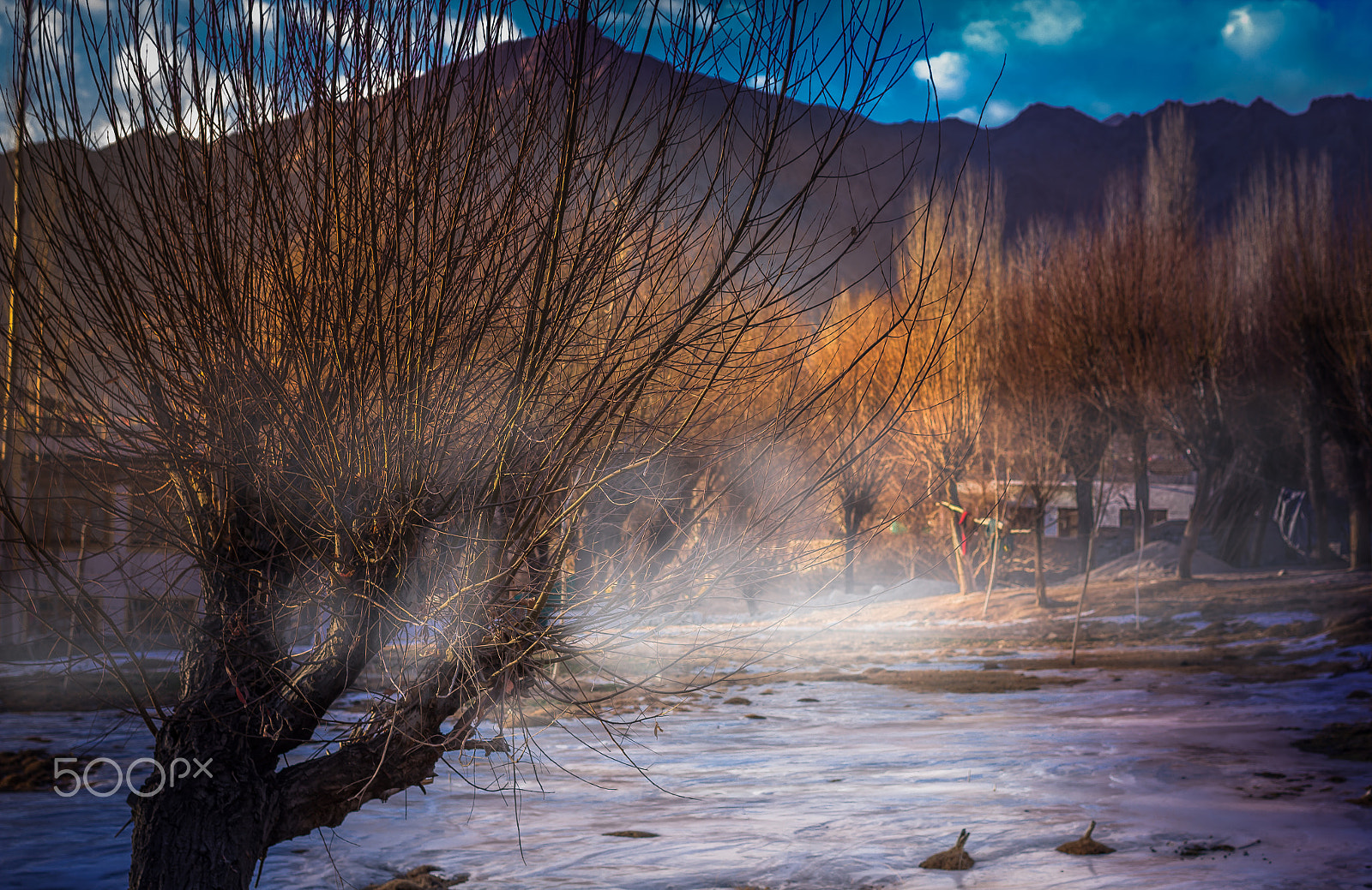 Canon EOS 600D (Rebel EOS T3i / EOS Kiss X5) sample photo. The morning sunkissed permafrost photography