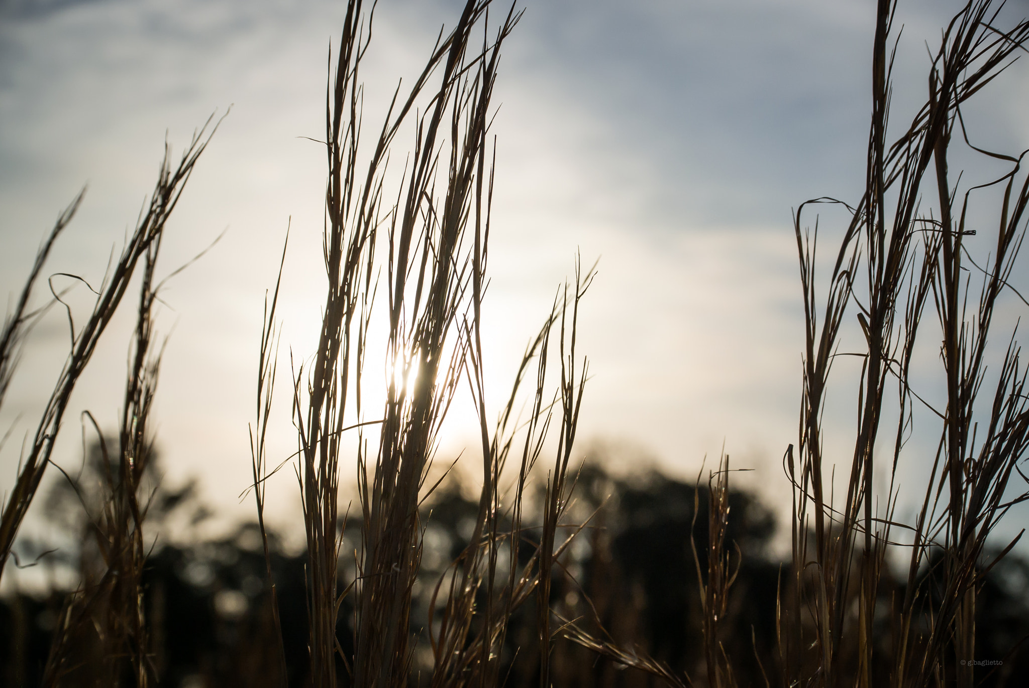 Nikon 1 Nikkor VR 30-110mm F3.8-5.6 sample photo. Golden hour photography
