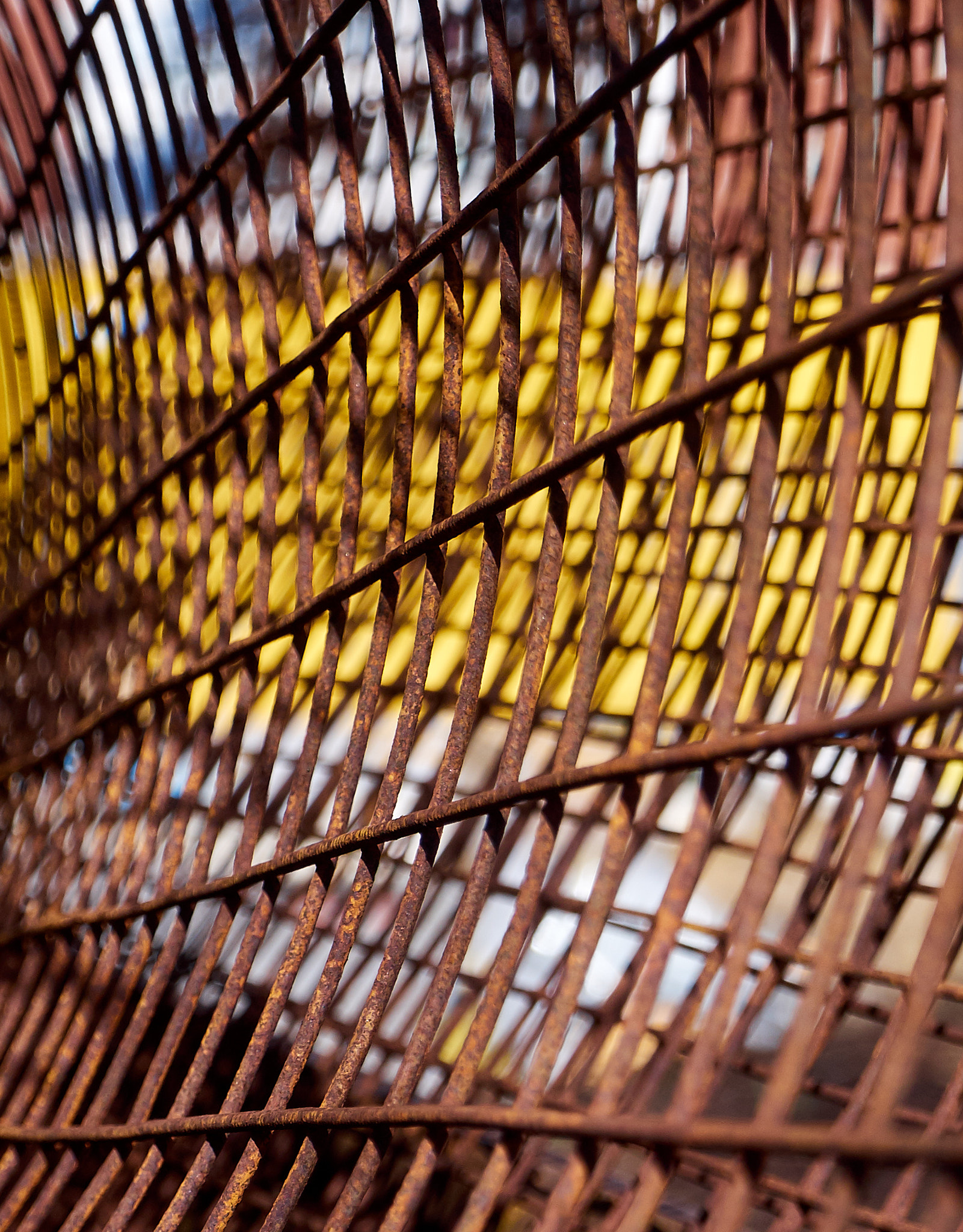 Olympus OM-D E-M5 sample photo. Yellow behind the grid photography
