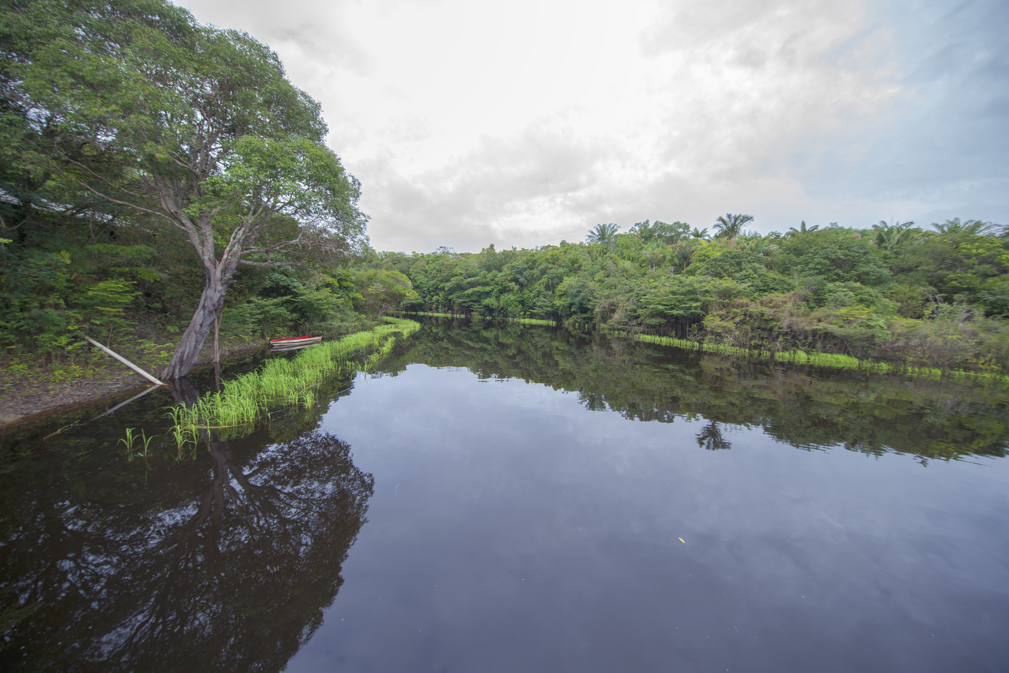 Sony a7R II + Canon EF 11-24mm F4L USM sample photo. Amazon manaus brazil photography