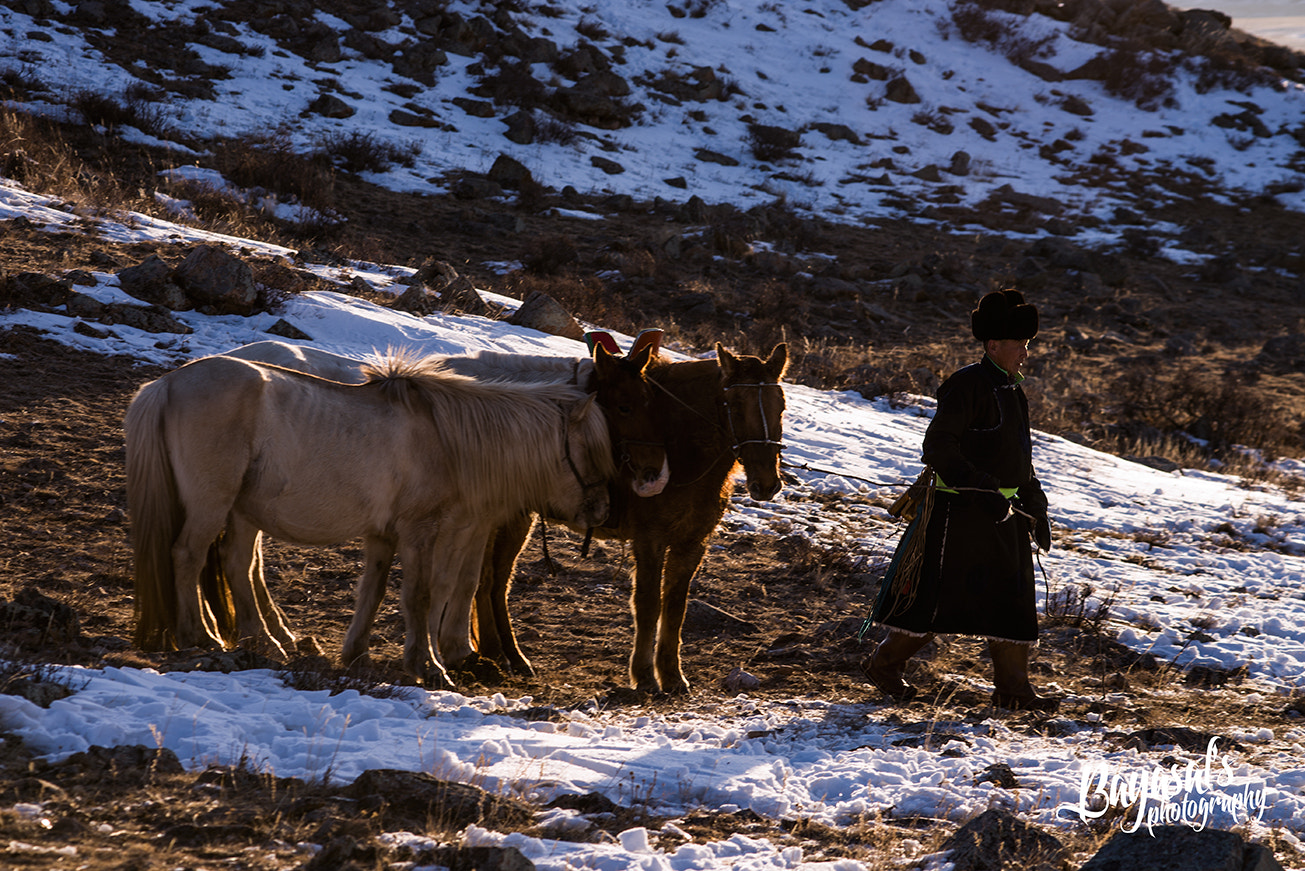 Nikon AF-Nikkor 80-200mm F2.8D ED sample photo. Mongolia photography