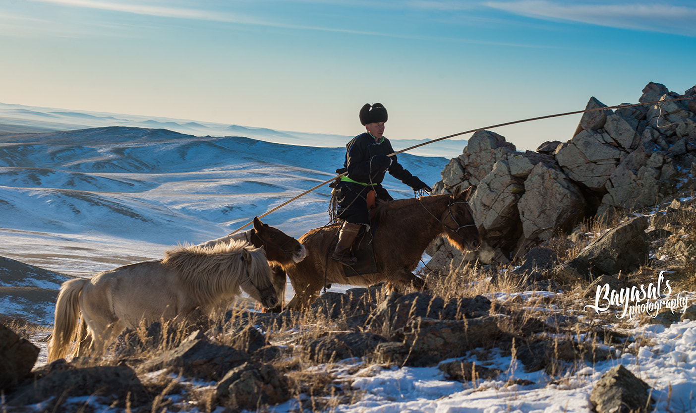 Nikon AF-Nikkor 80-200mm F2.8D ED sample photo. Mongolia photography