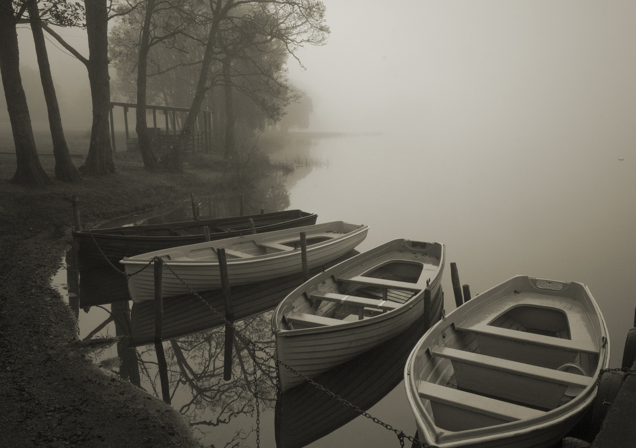 Nikon D300 sample photo. Achray boats photography