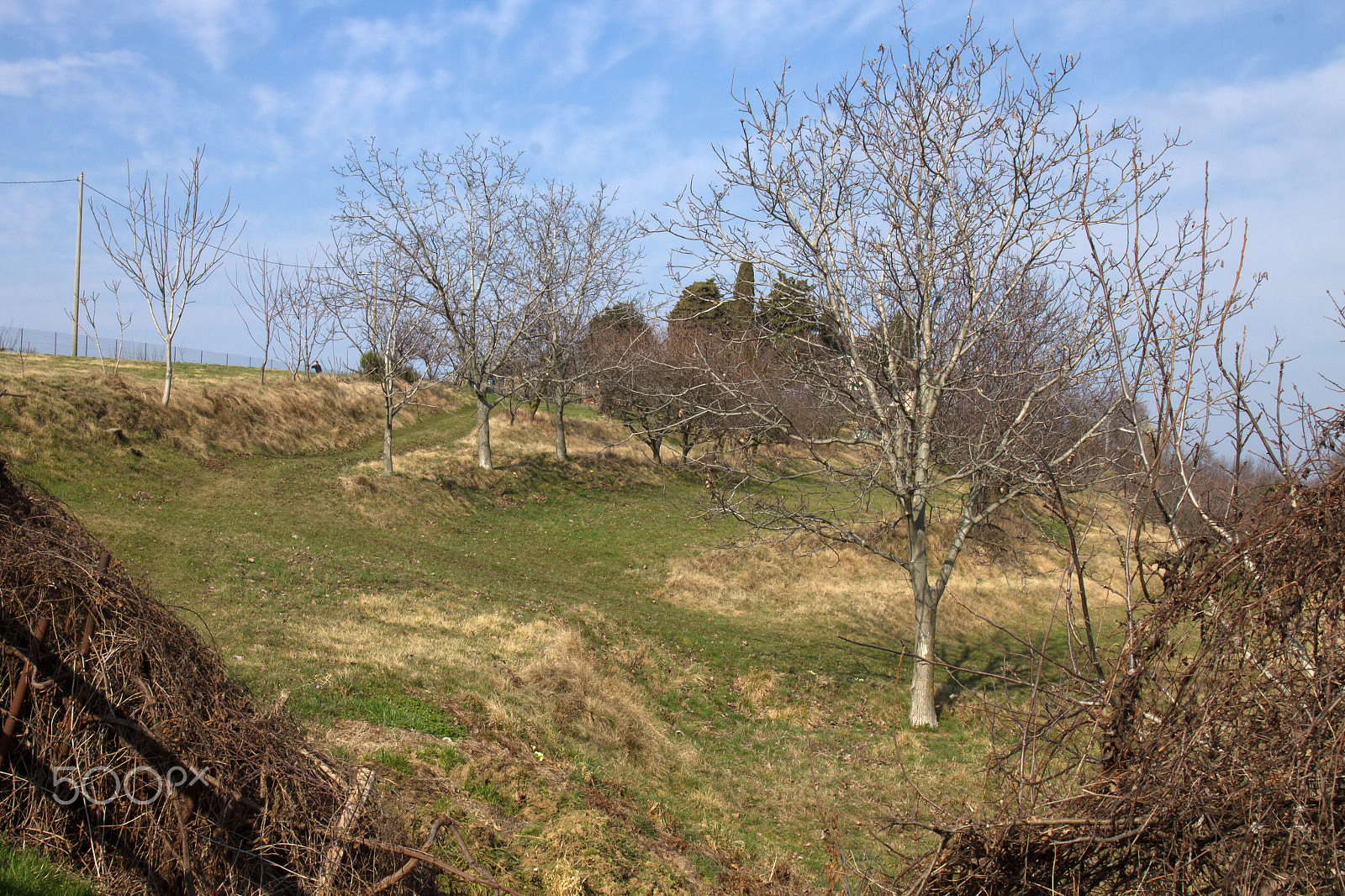 Canon EF 24-70mm F4L IS USM sample photo. Countryside photography
