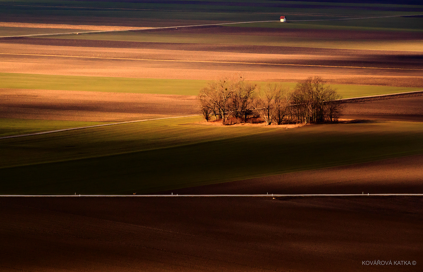 Canon EF 75-300mm F4.0-5.6 IS USM sample photo. Vo svetle photography