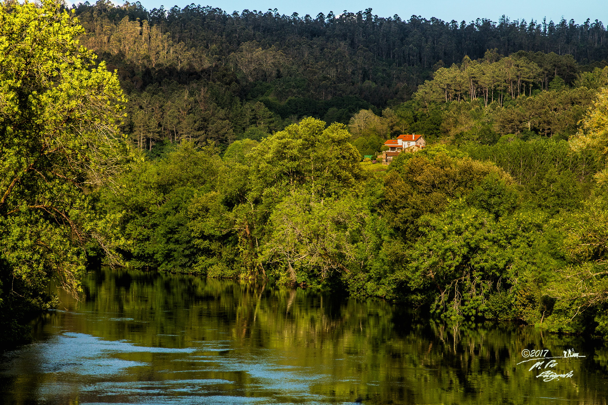 Canon EOS 70D + Sigma 24-70mm F2.8 EX DG Macro sample photo. Alone in the forest photography