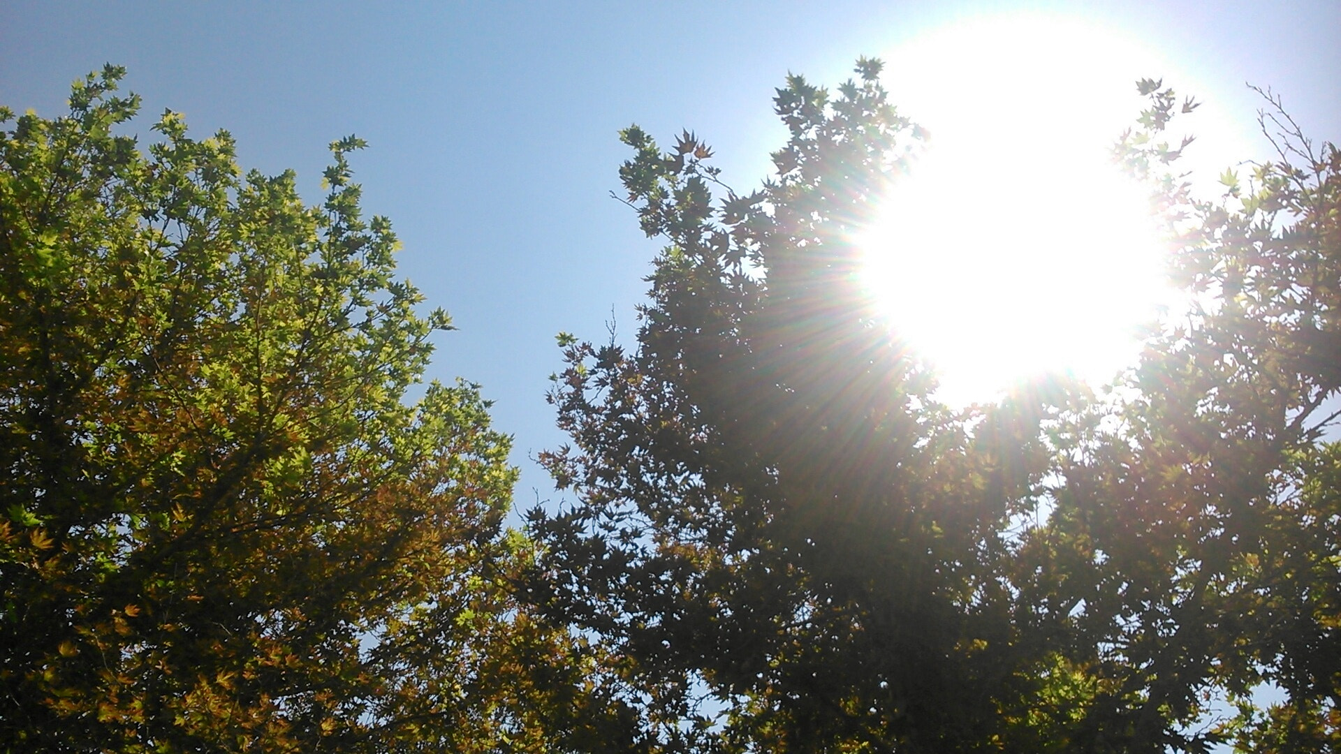 Sony Xperia L sample photo