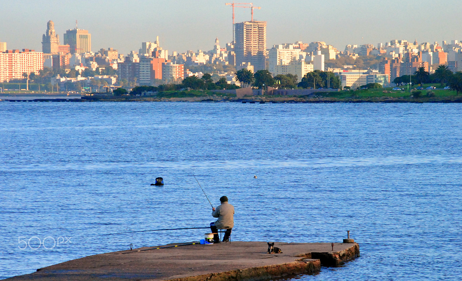 Sigma 70-300mm F4-5.6 APO DG Macro sample photo. Las carretas, montevideo photography