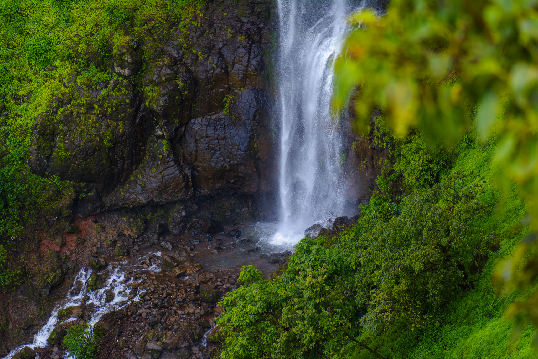 Nikon AF-S Micro-Nikkor 105mm F2.8G IF-ED VR sample photo