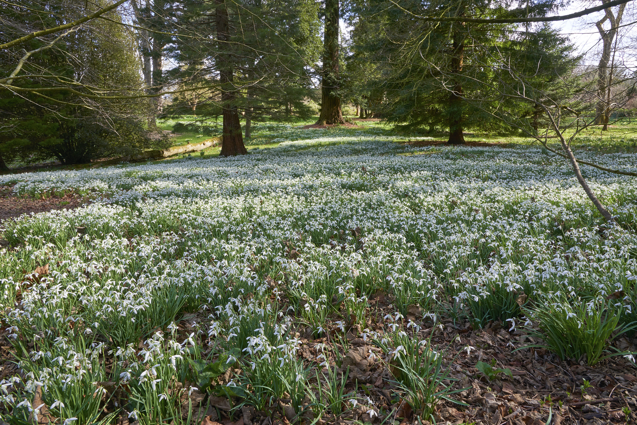 Nikon AF-S Nikkor 24-120mm F4G ED VR sample photo. Kingston lacy photography