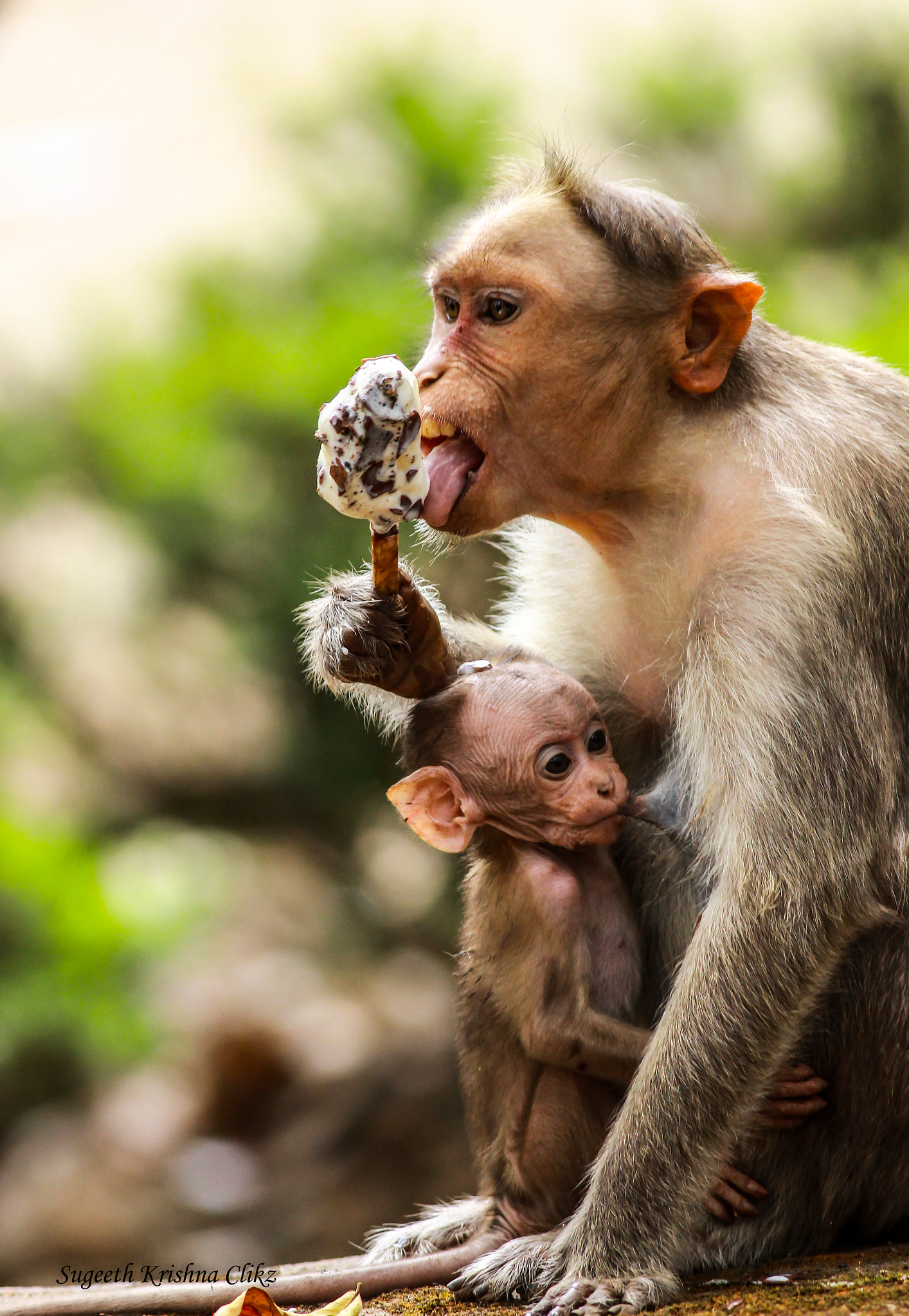 Canon EOS 600D (Rebel EOS T3i / EOS Kiss X5) + Canon EF 400mm F5.6L USM sample photo. Ice cream love & mom's love photography
