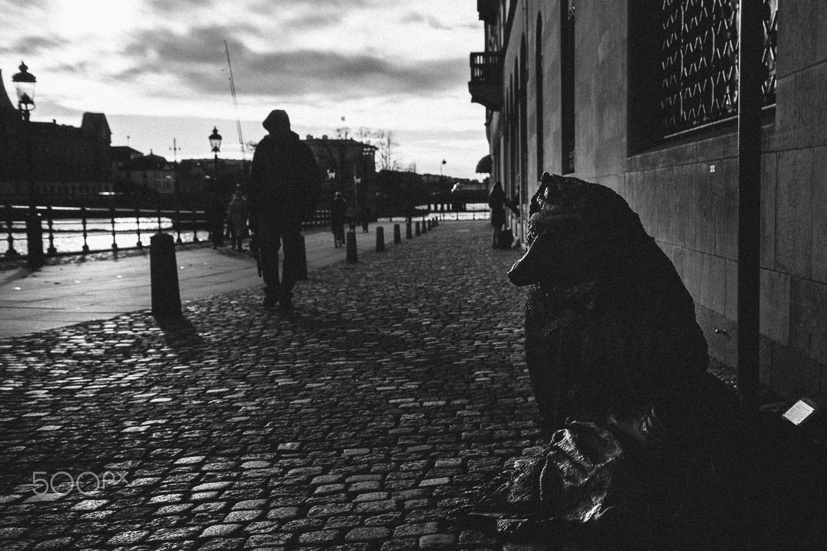 Nikon Df sample photo. Mysterious stockholmр photography