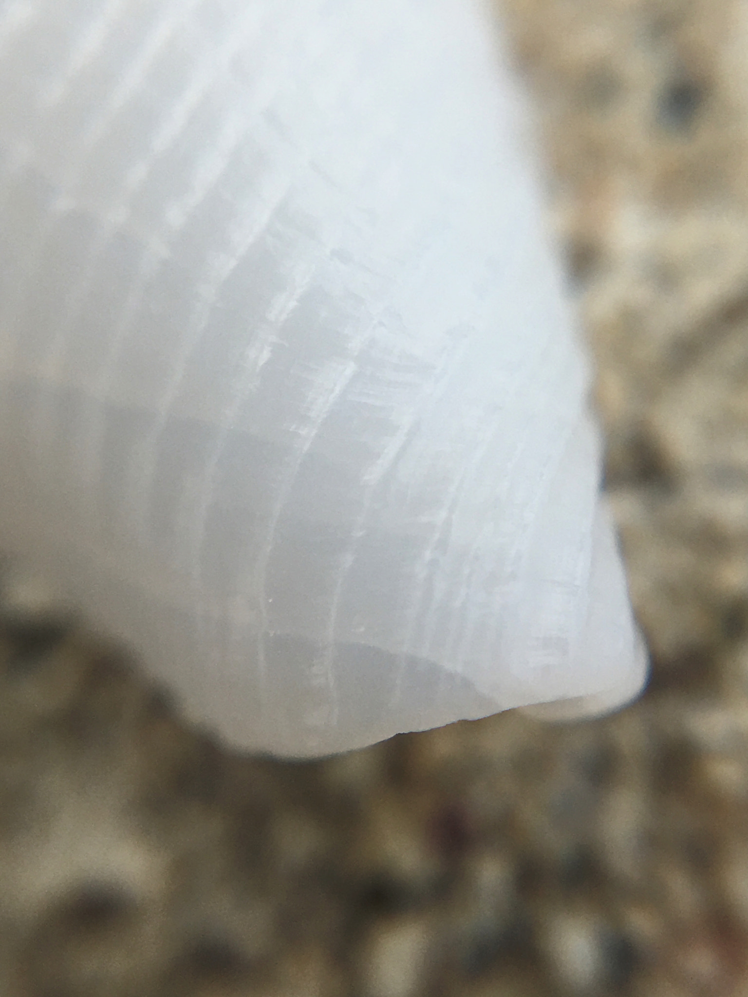Apple iPhone8,1 sample photo. Seashore texture photography