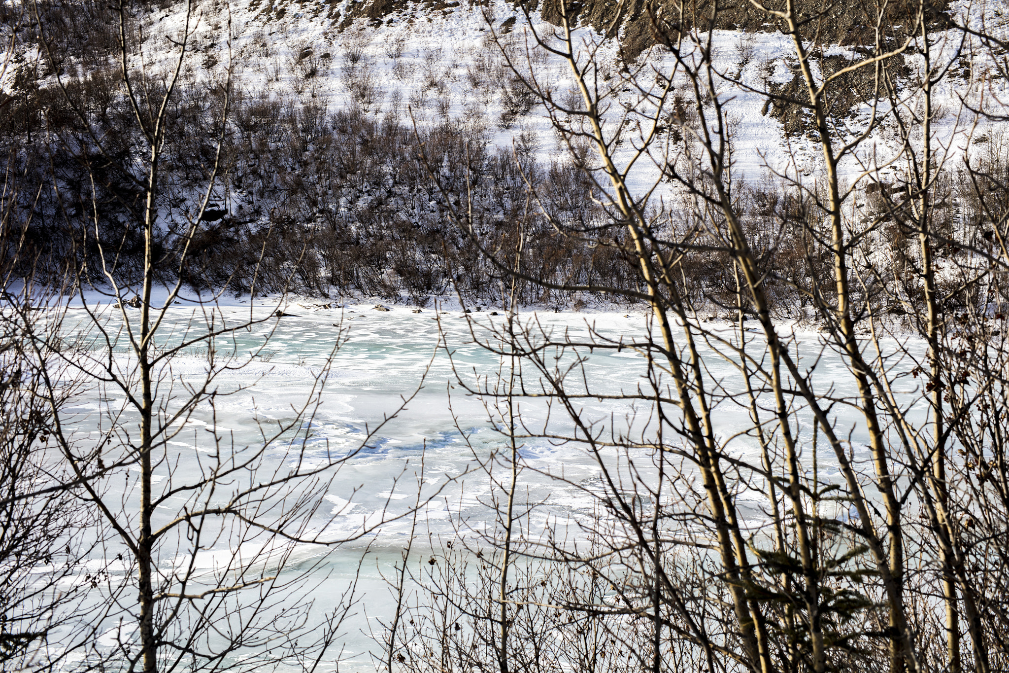 Canon EOS 5DS R + ZEISS Milvus 50mm F1.4 sample photo. Frozen river photography