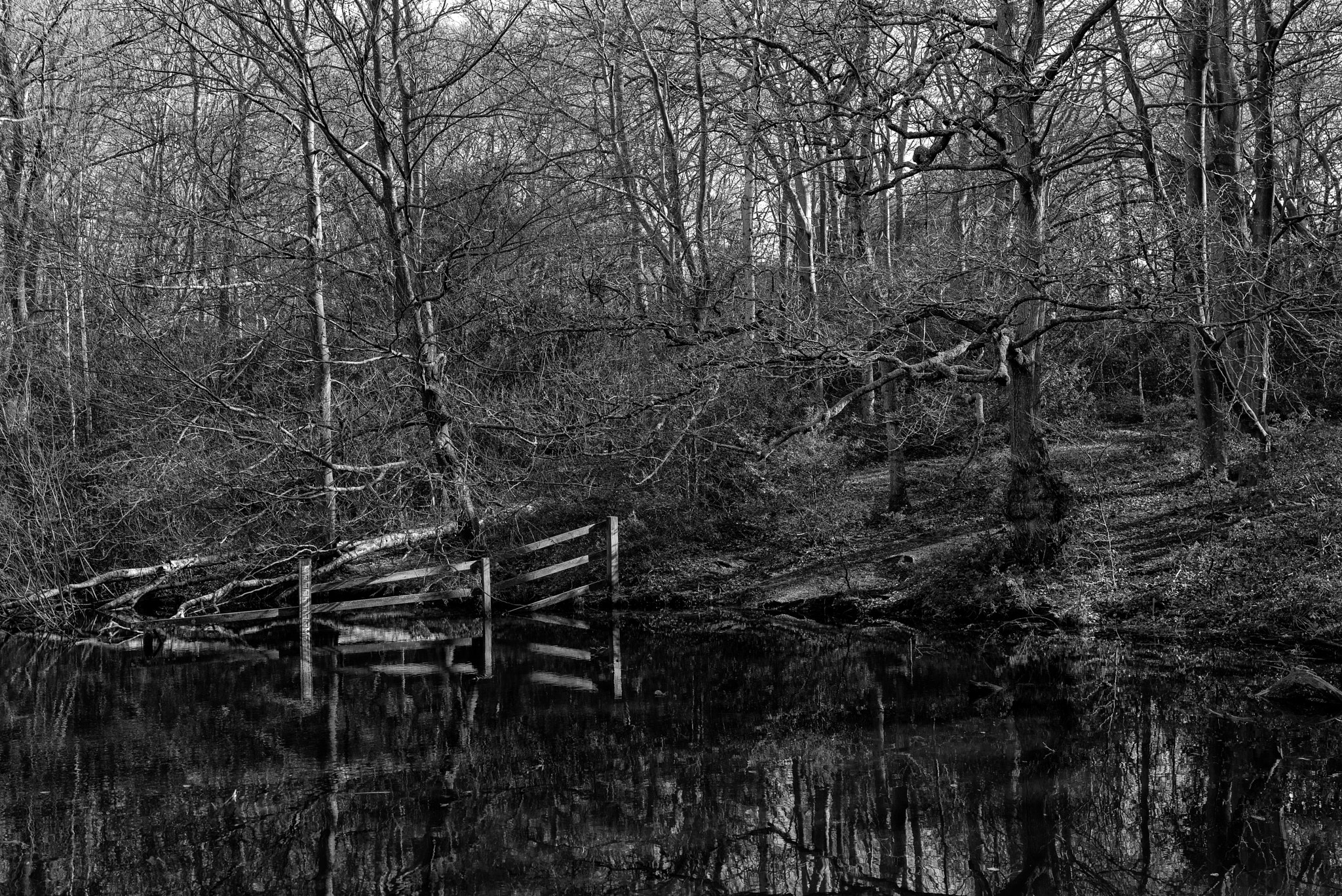 Nikon D800E sample photo. Lower pond photography